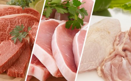 Entenda: ABPA esclarece os benefícios do acordo Mercosul-UE para o complexo carne e ovos