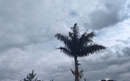 Mato Grosso do Sul: Sábado terá calor intenso e pancadas de chuva ao longo do dia
