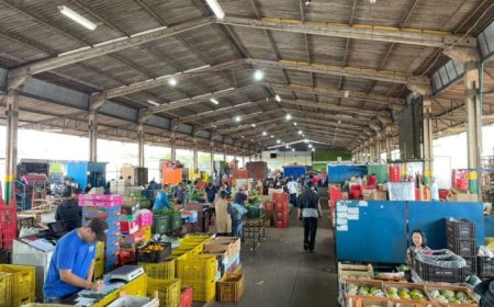 MS Nutri: Ceasa reforça articulação com a Semadesc em projeto que reduz desperdício de alimentos