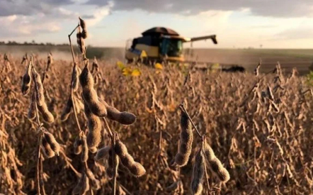 Análise: Como o mercado de soja abriu 2026? Saiba o que esperar!