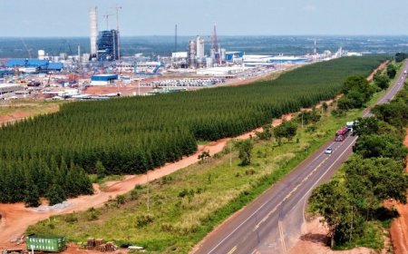 Ribas do Rio Pardo: Seletiva para motoristas de ônibus urbano vai ocorrer na próxima quarta-feira na Funtrab