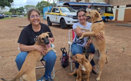 Caravana da Castração inicia os trabalhos de 2026 em Eldorado, na próxima quinta-feira