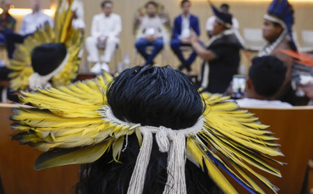 Cultura: Vestibular da USP vai cobrar obras indígenas e quadrinhos