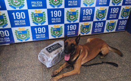 Policia Militar prende mulher com droga no centro de Ponta Porã