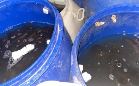 Polícia paraguaia apreende mais de 7 mil iscas contrabandeadas do Brasil na fronteira