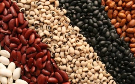 Brasil teme perder mercado de feijão na Venezuela para os Estados Unidos