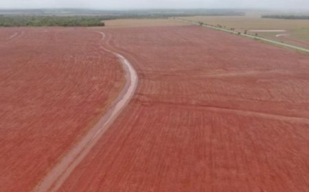 Com forte demanda do campo, FCO teve recorde de financiamentos no Estado em 2025