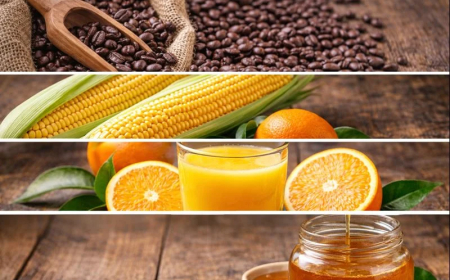 Expectativa: Café, milho, suco de laranja, e mel devem ser os mais beneficiados pelo acordo Mercosul-UE, diz Apex