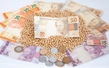 Soja: Semana termina devagar, preços não reagem e colheita ganha ritmo; confira os preços pelo Brasil