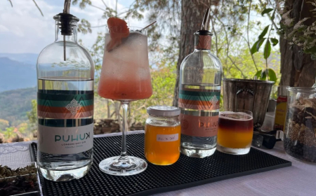 Inovação: Família de Minas Gerais cria primeiro gim do Brasil com mel de abelhas nativas