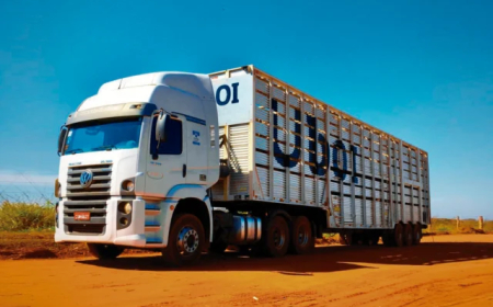 Modernidade: 'Uber do boi': novas tecnologias e inteligência artificial modernizam transporte boiadeiro no Brasil