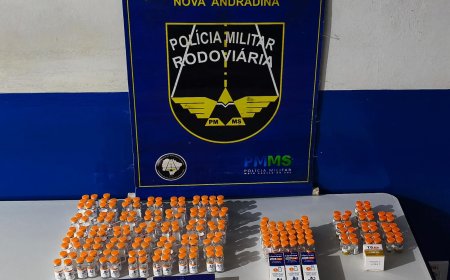 BPMRv apreende medicamentos contrabandeados em ônibus durante fiscalização no Vale do Ivinhema