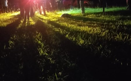 Pedro Juan Caballero: Ao ser chamado pelo nome, homem é executado no quintal de sua residência