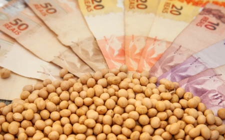 Preços: Semana da soja começa fraca e com preços estáveis; saiba as cotações por região