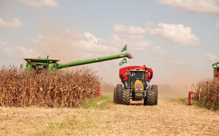 Colheita: Clima, logística e safra recorde moldam o rumo da soja no Brasil: o que esperar?
