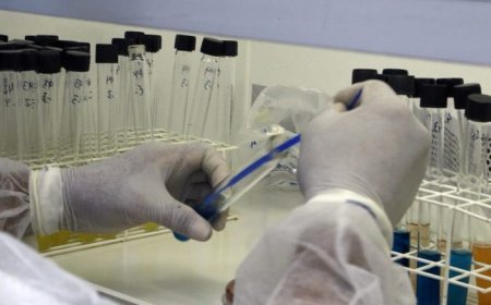 Lacen/MS recebe nota máxima em ensaios de proficiência e reforça excelência técnica