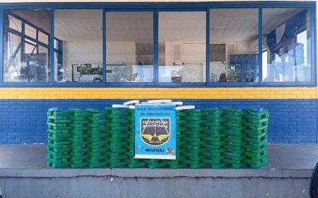 BPMRv apreende 200 kg de maconha durante fiscalização na MS-156, em Amambai