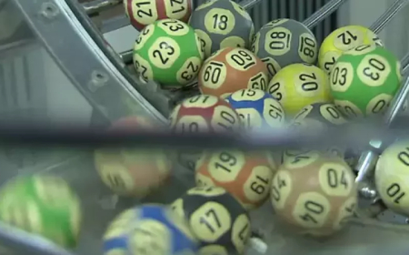 Previsão: Lotesul pode voltar a operar em 2026 com faturamento estimado de R$ 51 milhões