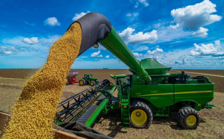 Iniciando: Colheita da safra brasileira 25/26 atinge 6,4%, aponta consultoria