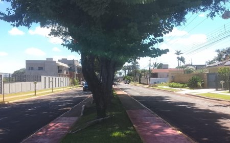 Mato Grosso do Sul: Tempo de poucas nuvens, sol e chuva isolada no leste são previstos neste sábado