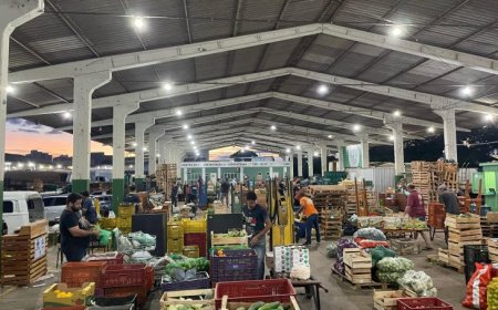 Do campo ao mercado: como o agricultor pode vender na Ceasa de Mato Grosso do Sul