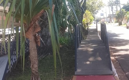 Altas temperaturas: Calor intenso marca o domingo em MS, com até 41°C no Pantanal