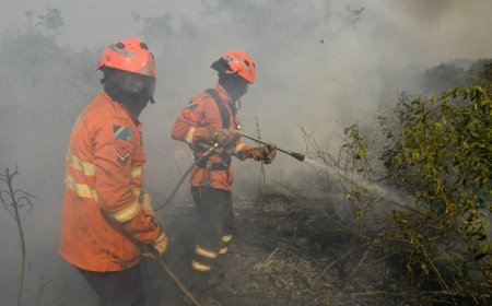 MS reforça planejamento contra o fogo e mobiliza Corpo de Bombeiros no combate a focos no Pantanal