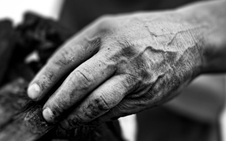 Plano de Erradicação do Trabalho Escravo marca o enfrentamento em MS da exploração ilegal de mão de obra