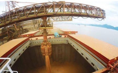 Destino da soja: line-up indica embarques de 3,231 milhões de toneladas pelo Brasil em janeiro