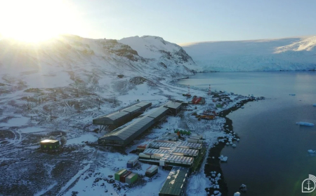 Teste: Brasileiros conseguem produzir alimentos na Antártica sob frio de até -60 °C