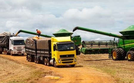 Alerta Conab: colheita de safra recorde de grãos deve elevar preços de fretes em fevereiro