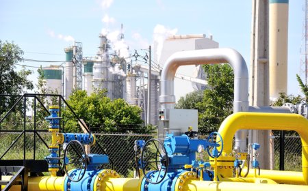 MSGÁS reduz tarifas de fornecimento em 2,5% para segmento industrial e até 5,5% para GNV