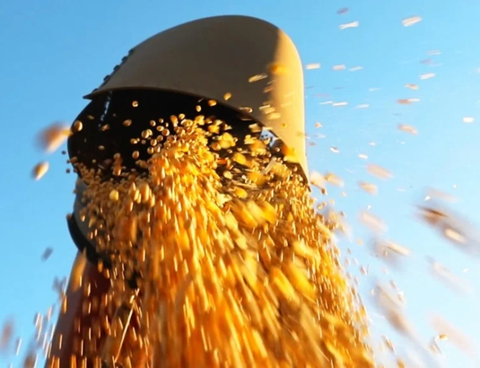 Confira valor da saca da soja pelo Brasil