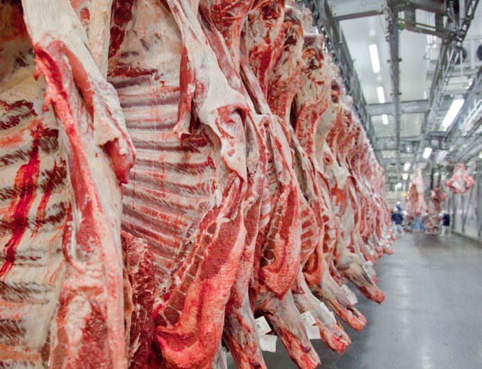 Agronegócio: China reduz dependência de MS dos EUA e ameniza impacto de tarifa