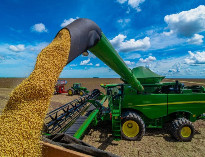 Saca 60 kg: Saiba como ficaram as cotações de soja às vésperas do Carnaval