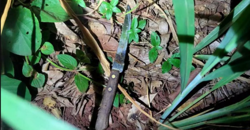 Campo Grande: Com uma faca, rapaz arrasta corredora para matagal para estuprá-la e acaba preso no Bairro Universitário