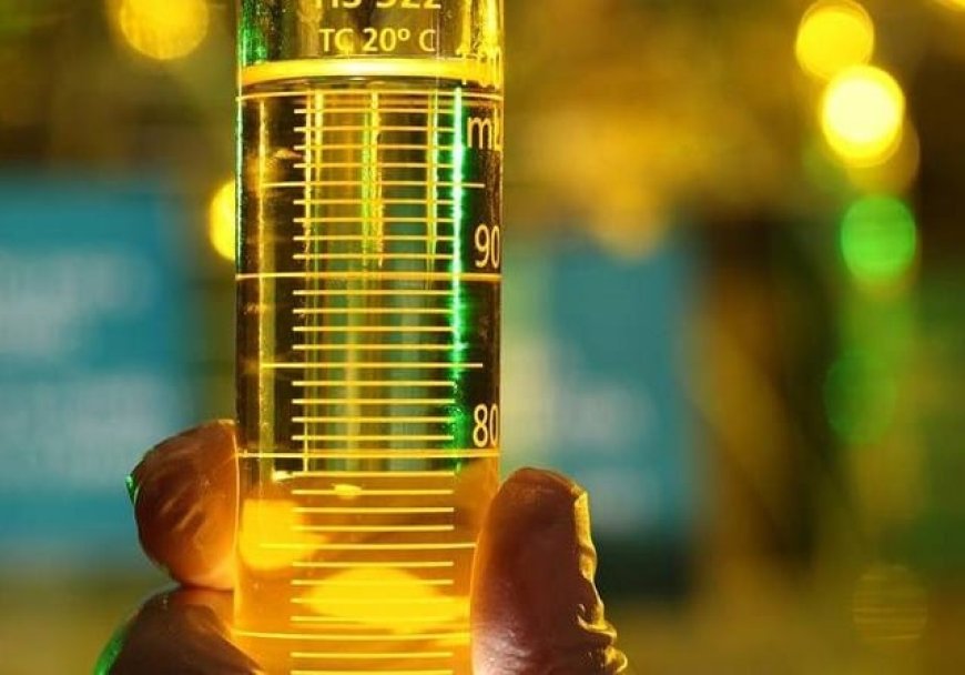 Em 2026: Bioenergia é o 'combustível' que fará o agro crescer