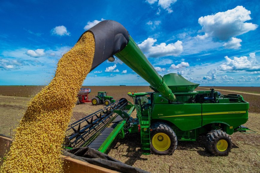 Mato Grosso: Lei que pune participantes da Moratória da Soja volta a valer