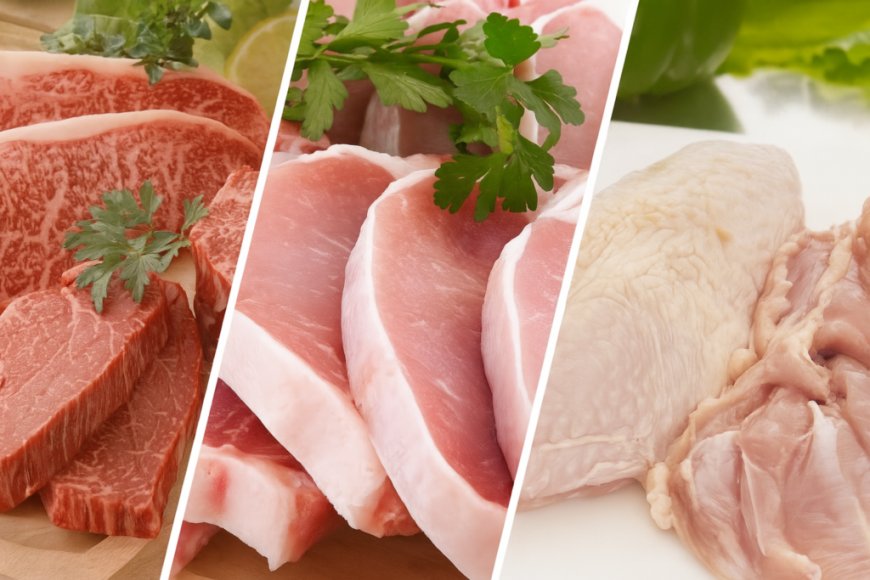 Entenda: ABPA esclarece os benefícios do acordo Mercosul-UE para o complexo carne e ovos