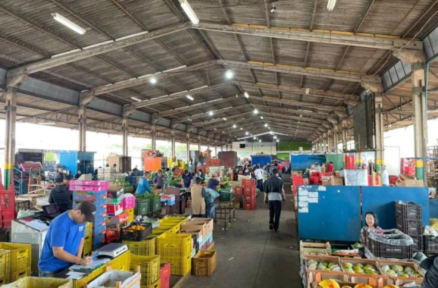 MS Nutri: Ceasa reforça articulação com a Semadesc em projeto que reduz desperdício de alimentos