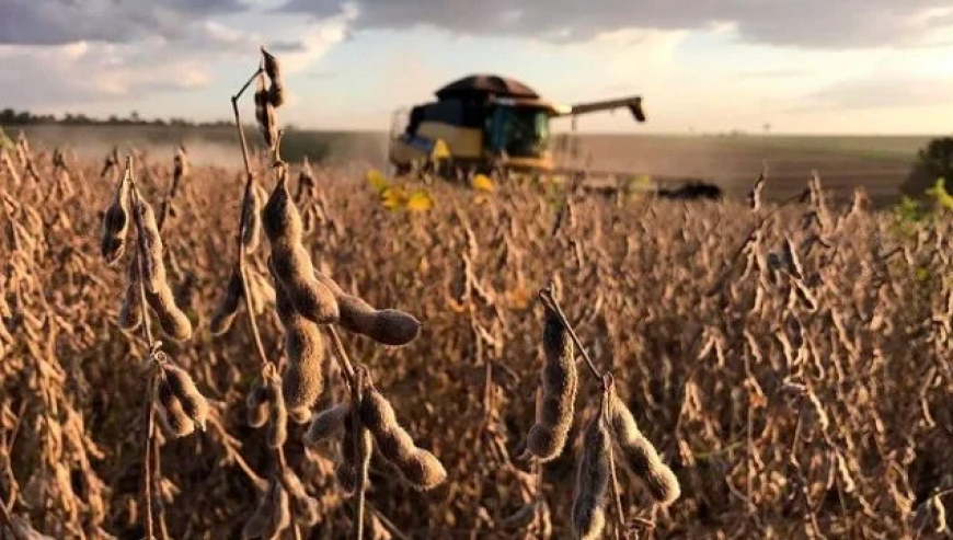 Análise: Como o mercado de soja abriu 2026? Saiba o que esperar!