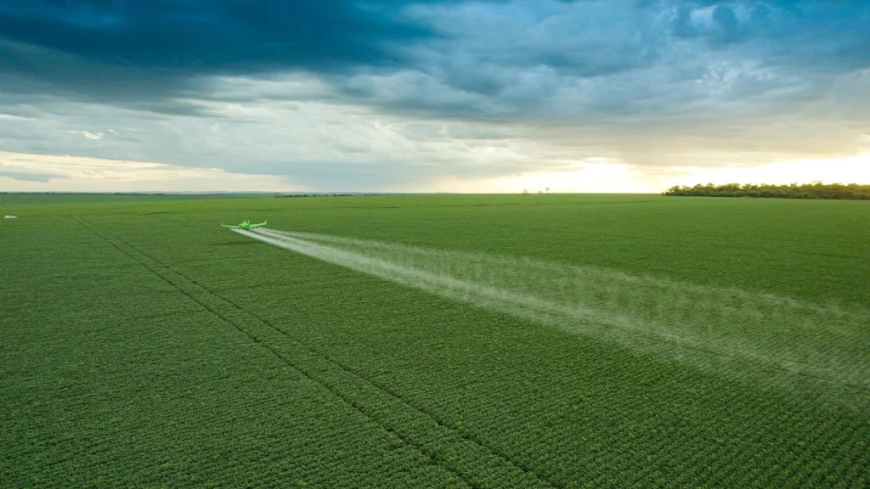 Investimento: BNDES aprova R$ 950 milhões para usina de etanol de milho da Inpasa na Bahia