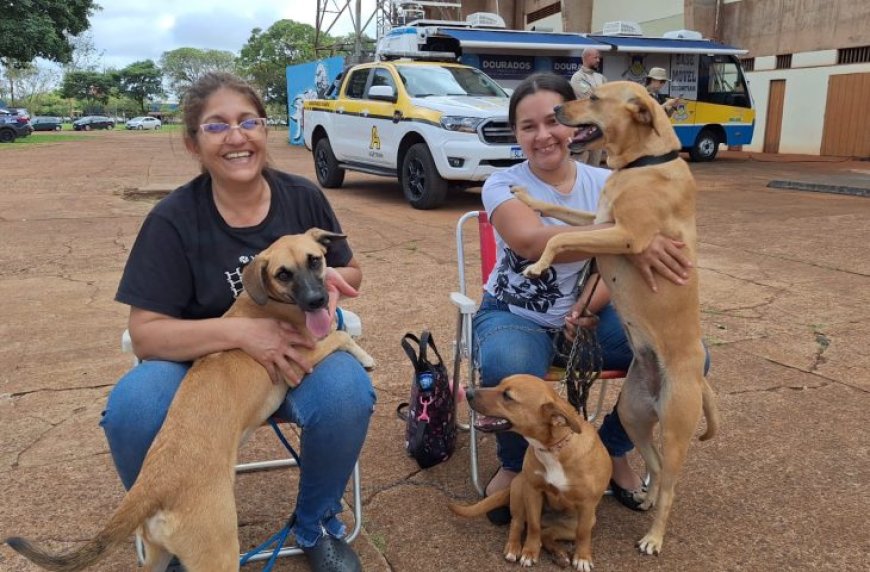 Caravana da Castração inicia os trabalhos de 2026 em Eldorado, na próxima quinta-feira