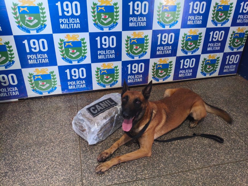 Policia Militar prende mulher com droga no centro de Ponta Porã