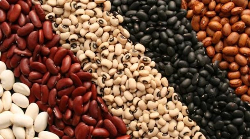 Brasil teme perder mercado de feijão na Venezuela para os Estados Unidos