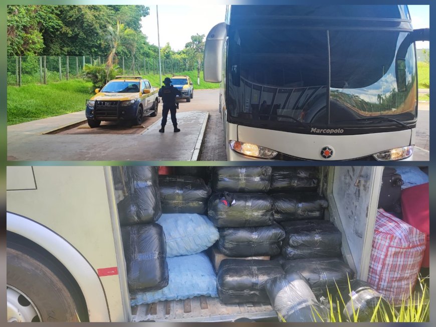 BPMRv apreende mercadorias de origem estrangeira e flagra transporte irregular de passageiros na MS-040