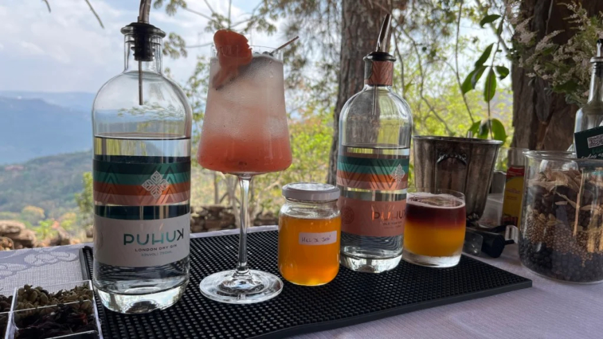 Inovação: Família de Minas Gerais cria primeiro gim do Brasil com mel de abelhas nativas