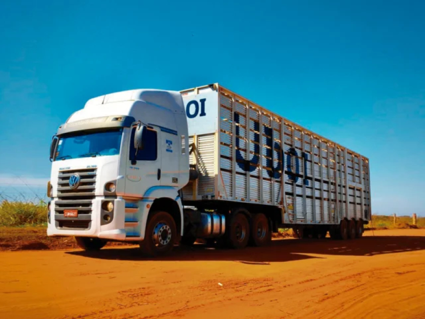 Modernidade: 'Uber do boi': novas tecnologias e inteligência artificial modernizam transporte boiadeiro no Brasil