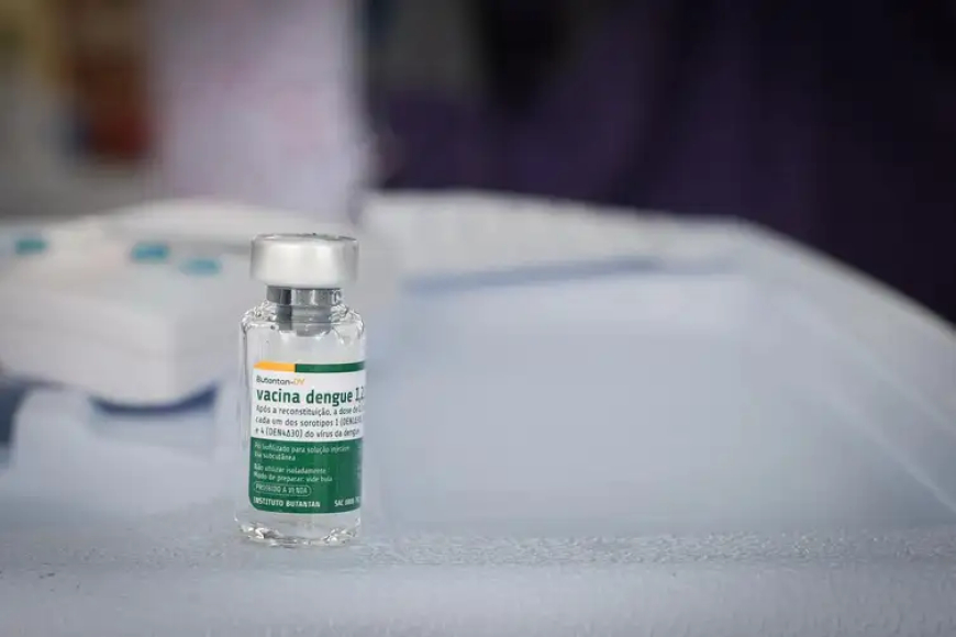 Prevenção: SUS vai vacinar profissionais de saúde contra dengue em fevereiro