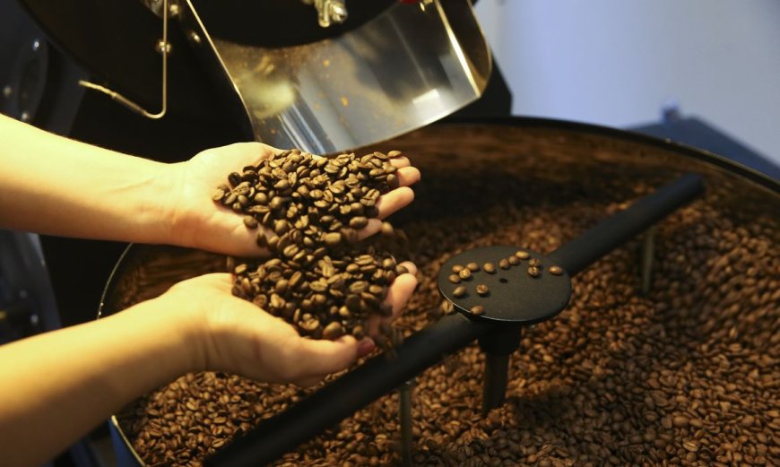 Queda: Exportação de café do Brasil cai em 2025, mas bate recorde em receita